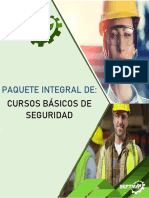 Manual de Cursos Básicos de Seguridad