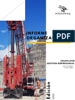 Informe Organizacional