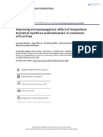 Improving Micropropagation Effect of Azospirillum Brasilense Sp245 On Acclimatization of Rootstocks of Fruit Tree