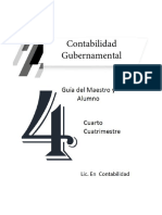 Maestro Contabilidad Gubernamental