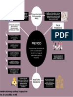 Mapa Conceptual Prefacio