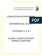 Intervenciones de Enfermería en Alteraciones Del Sistema Neurológico. Lucero Jaramillo