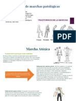 Tipos de Marchas Patológicas