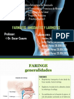 Faringitis Amigdalitis Laringitis