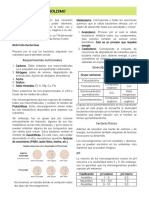 Clase 3, 4 Nutrición y Metabolismo