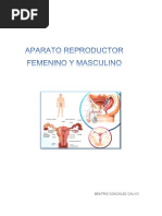 Aparato Reporoductor Femenino y Masculino