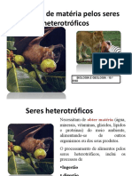 4 - Obtenção de Matéria - Heterotrofia