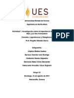 Investigación Sobre La Importancia Del Cultivo de Maíz y Su Uso Consuntivo