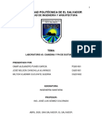 Informe Cianidina y PH de Sustancias