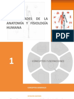 Tema 1 - Anatomia