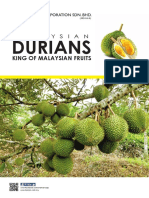 Durians: King of Malaysian Fruits