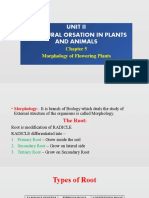 Morphology of Flowering Plants