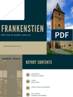 Frankenstien Chapter 20