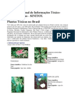 Plantas Tóxicas