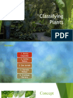 Classifying Plants