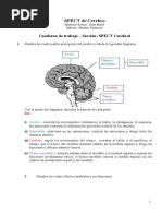 Medicina, SPECT de Cerebro, 7 Taller