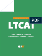 MODELO LTCAT SST Online