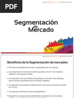 Segmentacion de Mercado