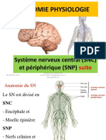 Cours Anatomie Du SN Partie 2, 2017