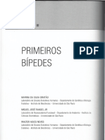 Os Primeiros Bípedes (Gratao Et Al 2014)