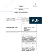 Informe de Practica Individual