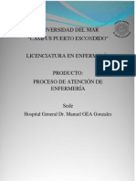 Proceso de Atención en Enfermería. Enterocolitis Nerosante.