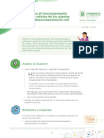 10 - Explico El Funcionamiento de Las Células de Las Plantas en La Descontaminación Del Suelo