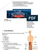 Fisiologia Gastrointestinal