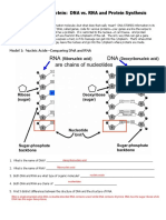 Kami Export - Pogil DNA Vs RNA