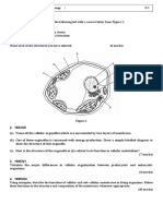 Hkale Biology - 2 The Cytology