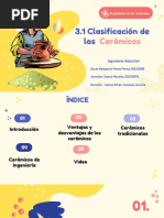 3.1 Clasificación Cerámicos Pérez Pérez - Saenz Morales