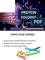 Protein Folding