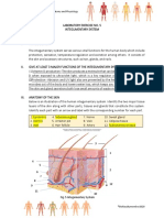 Lab Exercise 5