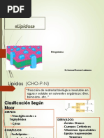 Química de Los Lípidos