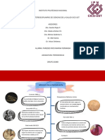 Línea Del Tiempo Periodoncia MFPR