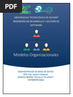 Modelos Organizacionales - Ignacio Ibarra Trujillo