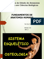 AULA 2.0 - SISTEMA ESQUELÉTICO - Contituição - Funcoes - Tipos de Ossos - Acedentes Osseos - Divisão Do Esqueleto