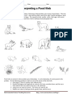 Food Web Interpretation