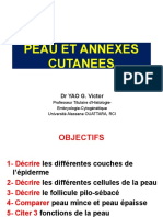 Dia Peau Et Annexes Cutanees Ok