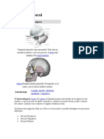 Hueso Temporal