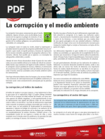 La Corrupcion y El Medio Ambiente