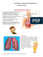 Sistema Respiratorio 4°