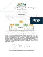 Práctica 7. Saponificación y Grado de Acidez