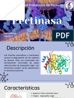 Pectinasa Enzima de Uso Industrial