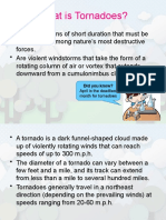 What Is Tornadoes?: Did You Know?