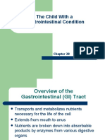 Chapter 28 Child With A Gastrointestinal Condition