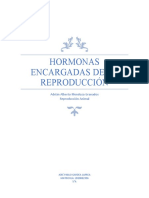 Hormonas Encargadas de La Reproducción