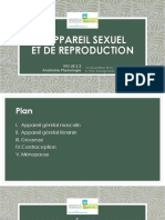 Appareil Sexuel Reproduction