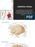 Agnosia Visual