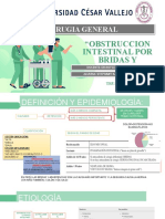 2 Obstruccion Intestinal Por Bridas y Adherencias